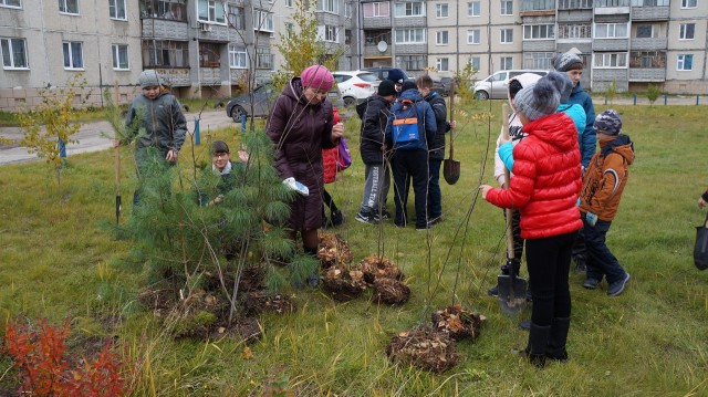 Лесхоз и лесничество в чем разница. Смотреть фото Лесхоз и лесничество в чем разница. Смотреть картинку Лесхоз и лесничество в чем разница. Картинка про Лесхоз и лесничество в чем разница. Фото Лесхоз и лесничество в чем разница