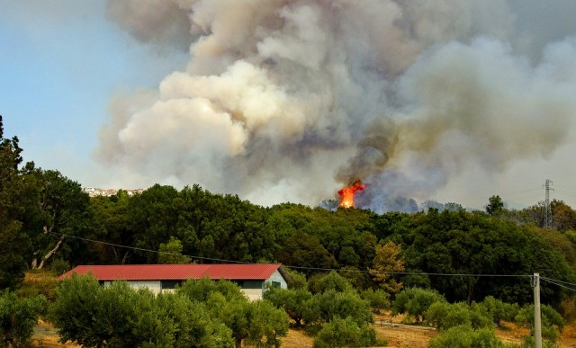​Природнадзор Югры предупреждает об опасности лесных пожаров