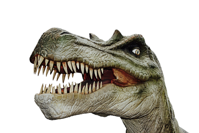 В России найдены останки нового вида динозавра