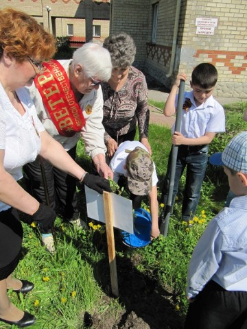 В Сургутском районе дети и ветераны посадили деревья в «Лесу Победы»