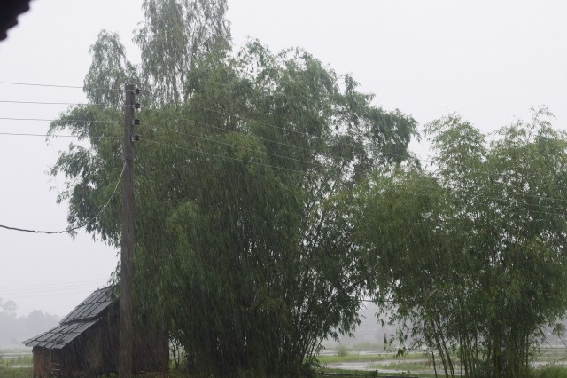 В Томске устранили последствия сильного ветра