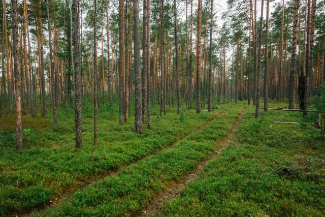 ​В ХМАО нефтяники начнут строить уникальный сад тропических лесов за 2 млрд рублей