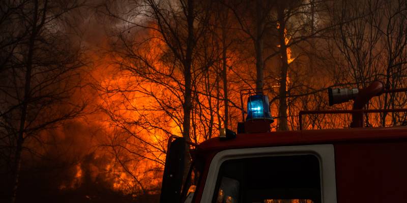 ​Инсайд: торговые сети могут быть замешаны в пожарах на фермах ХМАО