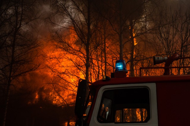 ​Инсайд: торговые сети могут быть замешаны в пожарах на фермах ХМАО
