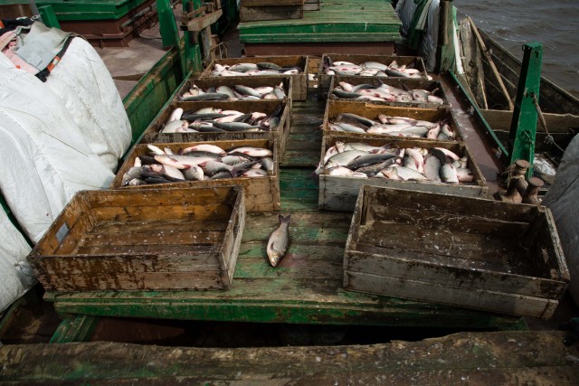 Рыбные консервы из ХМАО будут продавать на китайских маркетплейсах