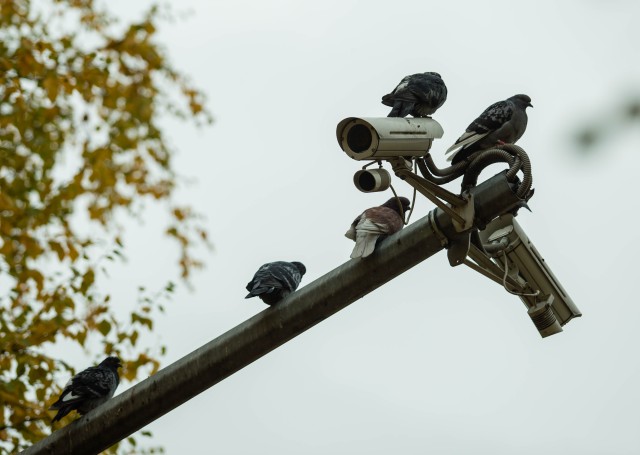 На трассах ХМАО установят более десятка новых камер фиксации нарушений