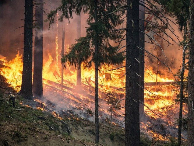 Два лесных пожара бушуют рядом с Сургутом