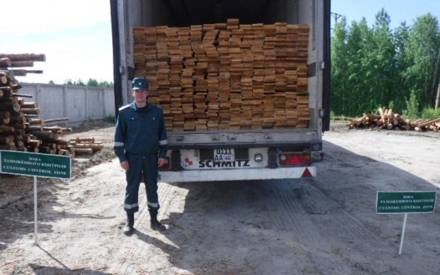 С начала года в Югре было возбуждено 4 уголовных дела за контрабанду леса