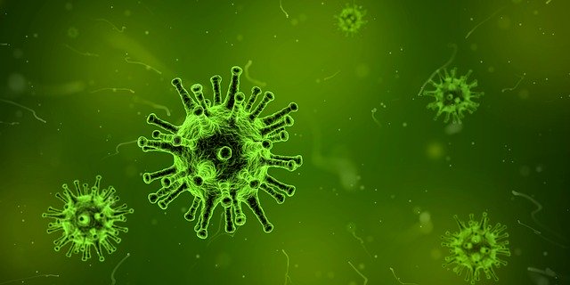 В Свердловскую область поступили тесты на коронавирус