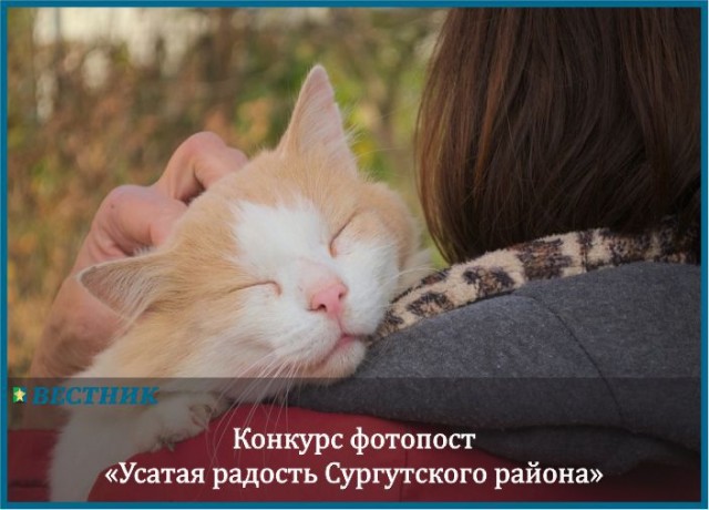 «Вестник» подвёл итоги конкурса «Усатая радость Сургутского района» «Вестник» подвёл итоги конкурса «Усатая радость Сургутского района»