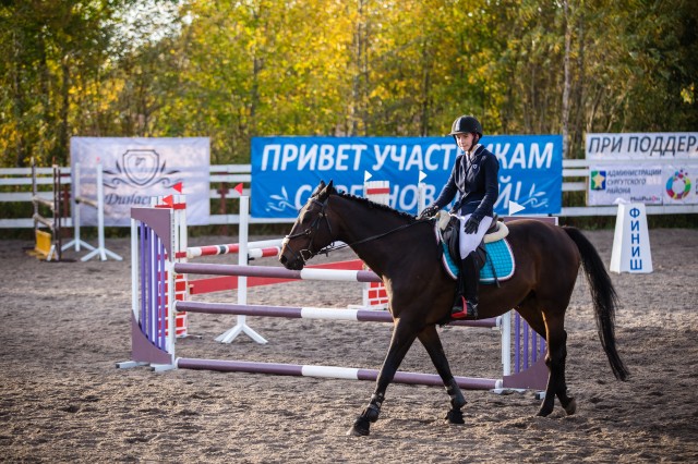 ​Управление культуры, туризма и спорта администрации Сургутского района отчиталось о работе в 2020-м