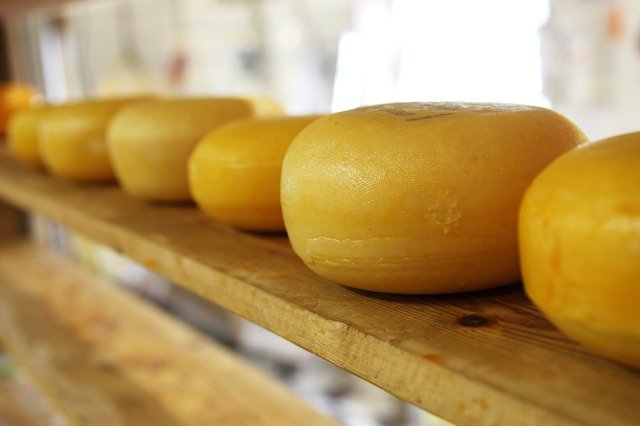 Фальшивый сыр обнаружил Роспотребнадзор в подмосковном Серпухове