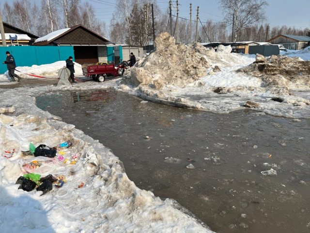 Барсово уходит в заплыв Барсово уходит в заплыв