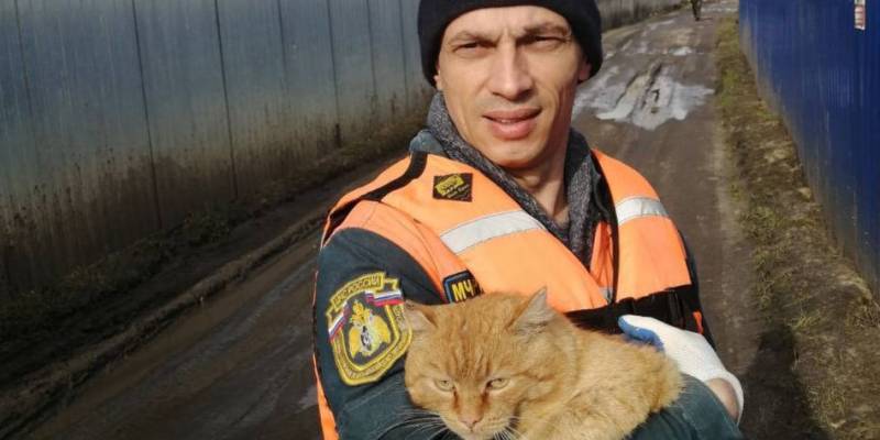 В Курганской области сотрудник МЧС из ХМАО спас кота от наводнения